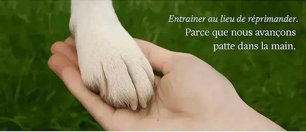 comportementaliste canin Genève